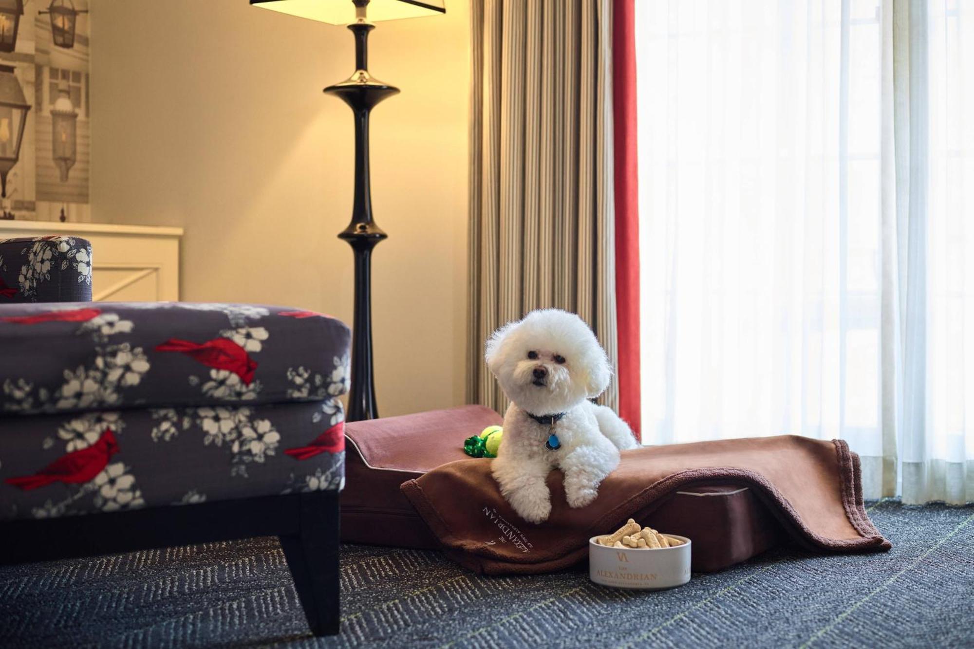 The Alexandrian Old Town Alexandria, Autograph Collection Hotel Bagian luar foto
